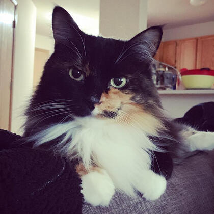 Maggie